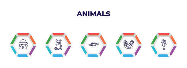 editable outline icons with infographic template. infographic for animals concept. included medusa, kangaroo, pike, panda bear, seahorse icons. © IconArt