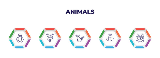editable outline icons with infographic template. infographic for animals concept. included penguin, goat, lemur, beetle, panda icons.