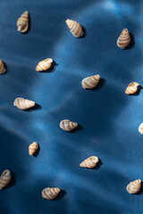 Seashells with underwater shadows on the blue background top view	