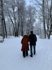 An elderly couple walks along a path surrounded by beautiful snow-covered trees in a city park on Elagin Island in St. Petersburg in early spring. View from the back.