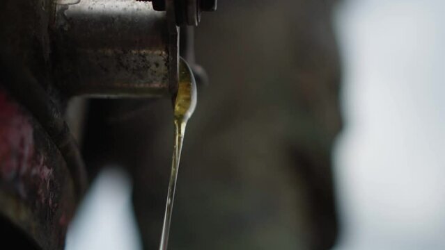 Close-up of a honeycomb extractor flows out honey. Slow motion 120p