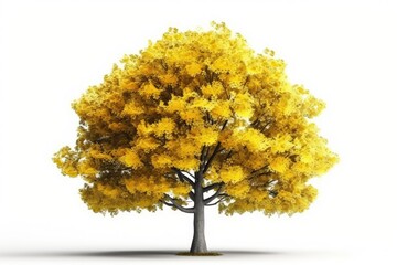 yellow-leaved tree on a simple white background. Generative AI