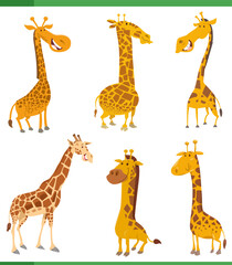 funny cartoon giraffes wild animal characters set