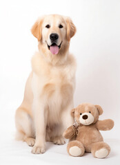 Fototapeta premium A cute dog standing next to a teddy bear, mothers day card.