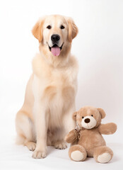 A cute dog standing next to a teddy bear, mothers day card.