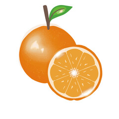 illustration of orange