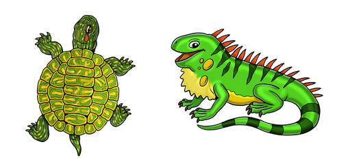 Cute iguana and turtle illustration. Isolated illustration with funny and happy animals. Coloring page for kids.