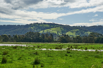 Fototapeta na wymiar Flooded Grazing and Pasture Land around Yarra Glen Victoria. During the Recent Heavy Rains In The Area.