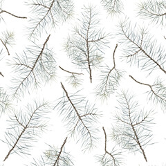 Pattern with pine branch. Botanical natural forest theme. Watercolor isolated illustration on white background. Seamless pattern, an illustration for postcards, posters, textile design and other.