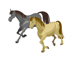 Isometric Horses Illustration