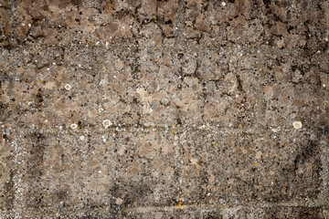 cement-covered wall weathered by time.