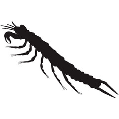 A Deep-Sea Tanaid silhouette