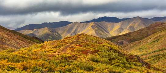 Mountain landscape in autumn colors, Denali National Park Alaska