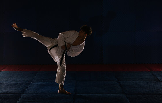 รูปภาพYoko – เลือกดูภาพถ่ายสต็อก เวกเตอร์ และวิดีโอ337 | Adobe Stock