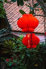 Fototapeta na wymiar Closeup view of red paper lanterns