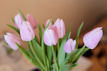 Fototapeta na wymiar tulipes rose