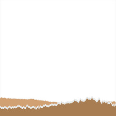 Torn Paper Texture Edge