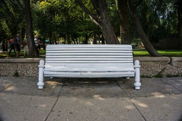 Wooden white bench in the park the trees