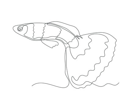 recommend clip art: abstract Goldfish, Aquarium Fish Guppy Continuous One Line Drawing
