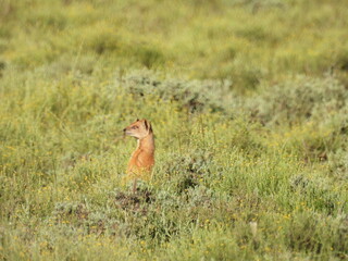 National Parks across South Africa 