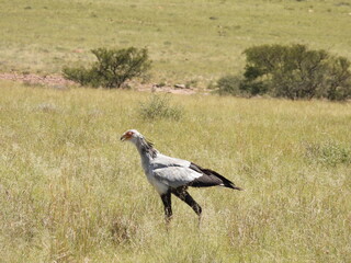 National Parks across South Africa 