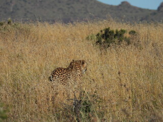 National Parks across South Africa 