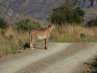 National Parks across South Africa 