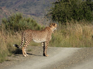 National Parks across South Africa 