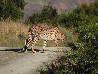 National Parks across South Africa 