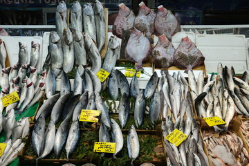 Fototapeta na wymiar fish in a market