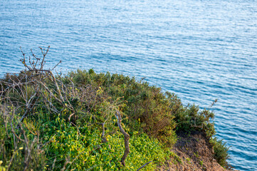 Algarve coast outside Lagos, Portugal. Portuguese beaches and shores.