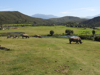 Garden Route Region SA 
