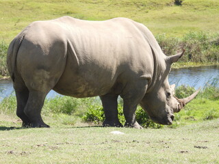 Obraz premium Garden Route Region SA 