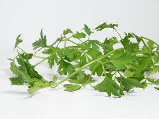 Fresh parsley stalks on white background.