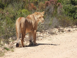 Garden Route Region SA 