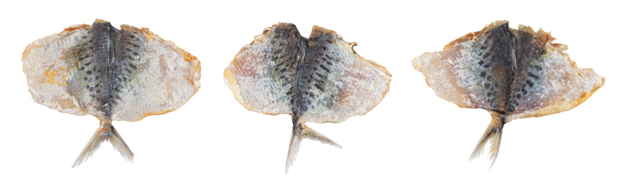 Dry salted yellowstripe scad. Dried small fish isolated, selaroides snack, stockfish beer snacks, dried flat fillet