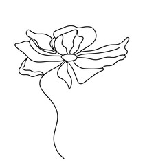 abstract floral background, hand drawn flower, illustration of a flower, minimalist botanic icon, logo, design, vector illustration, one line drawing