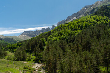 Paisaje de cadena montañosa que se pierde a lo lejos con árboles un día de sol