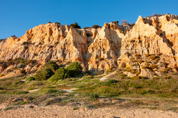 Fototapeta premium fossil dunes of Mazagon beach, Huelva, Spain