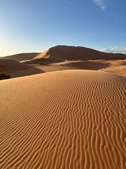 Dunes in the Sahara desert, Merzouga desert, grains of sand forming small waves on the dunes, panoramic view. Setting sun. Morocco
