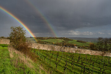 Bockstein, Elsheim, Rheinhessen, Rheinland-Pfalz 