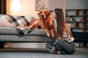 Cute golden retriever is in domestic room with his owner, beautiful young woman