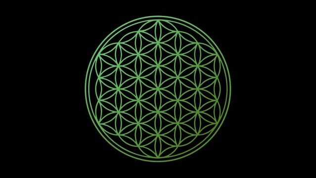 flower of life spiritual symbol color change chakra healing