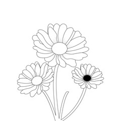 Daisy Flower Coloring page And Book Line art Illustration 