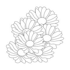 Daisy Flower Coloring page And Book Line art Illustration 