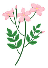 Flowers set illustration PNG