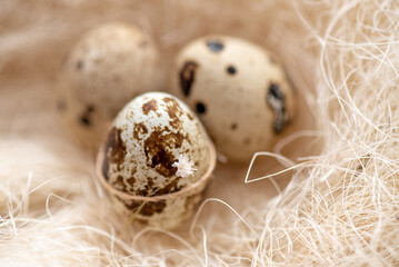 Mehrere Wachteleier in einem Nest mit Holzwolle. Um ein Ei ist eine dünne Schnur gebunden, darin steckt ein winziges Blümchen. - obrazy, fototapety, plakaty