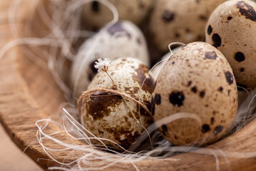 Mehrere Wachteleier in einem Nest mit Holzwolle. Um ein Ei ist eine dünne Schnur gebunden, darin steckt ein winziges Blümchen. - obrazy, fototapety, plakaty