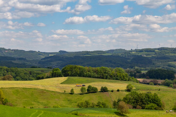 Obraz premium beautiful landscape in summer with fields and meadows in Odenwald region in Germany