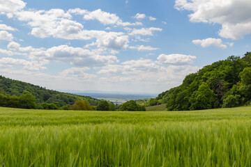 beautiful landscape in summer with fields and meadows in Odenwald in Germany